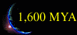 1600 MYA